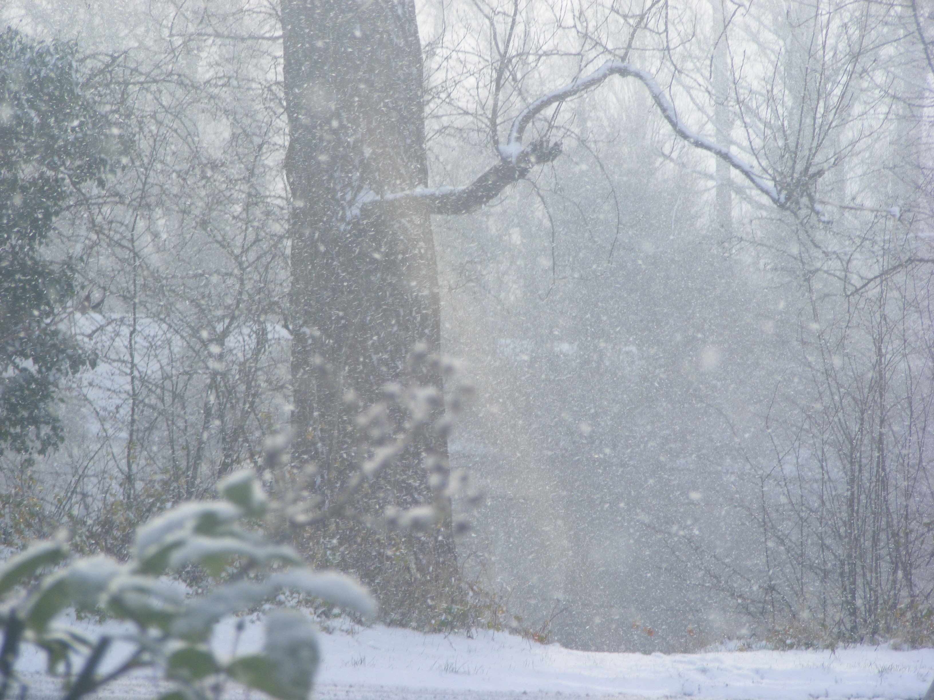 Yorkshire Dales Gloves
